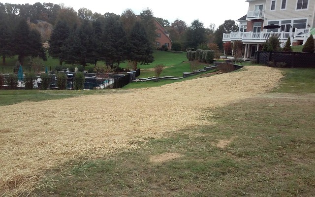 Septic System Install - Completed